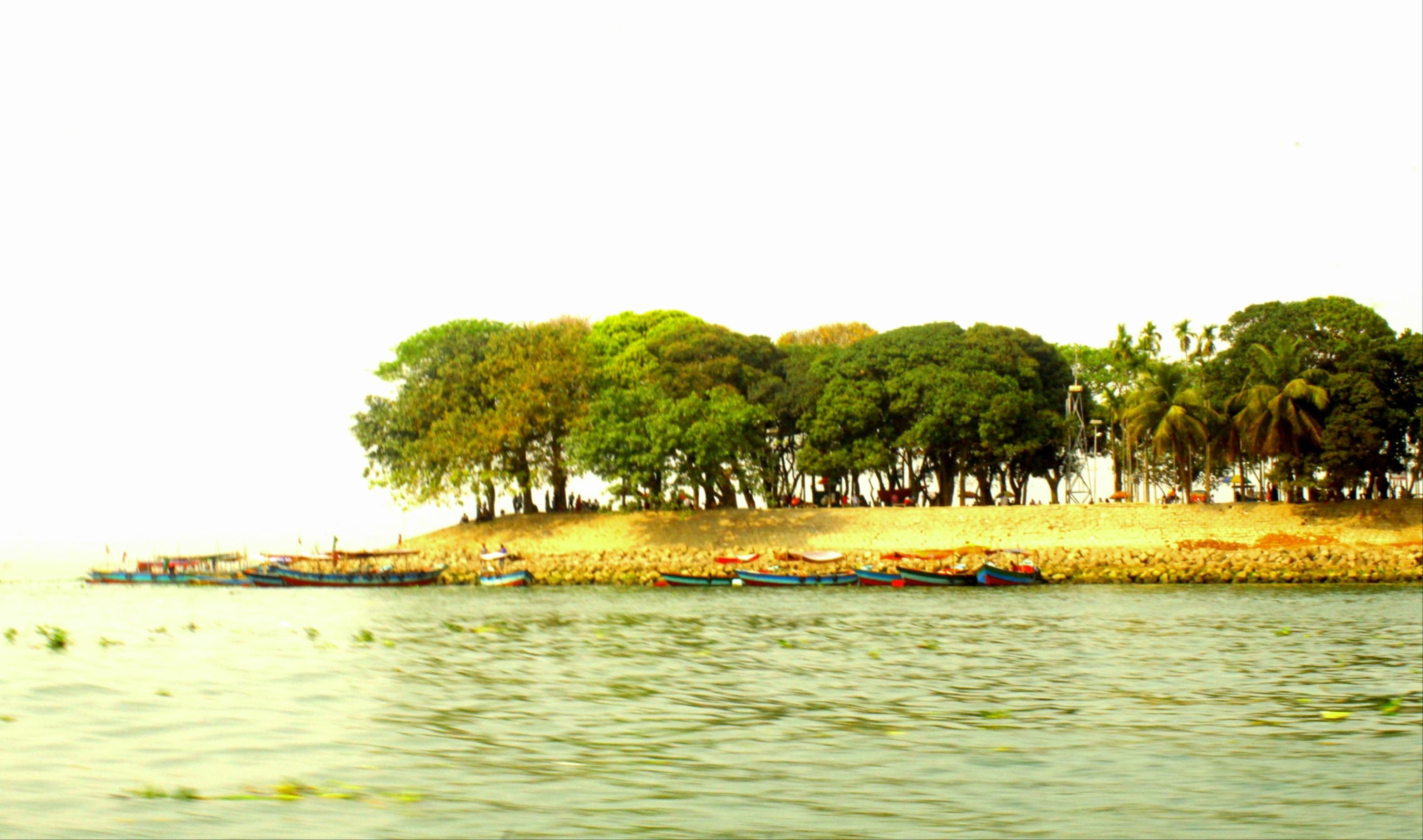 Main News Image